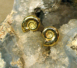 Ammoniten-Ohrstecker in Gelbgold