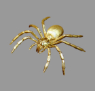 Gold-Spinne